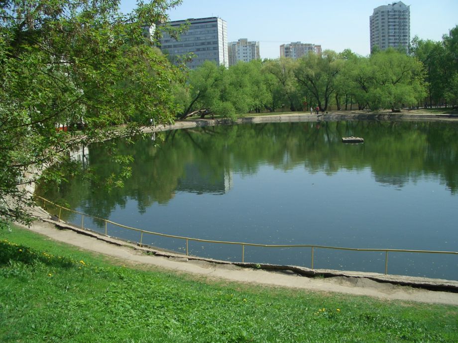 Зюзино московская. Средний пруд Зюзино. Парк Зюзино пруд. Пруд на Керченской улице. Зюзино район Москвы пруд.