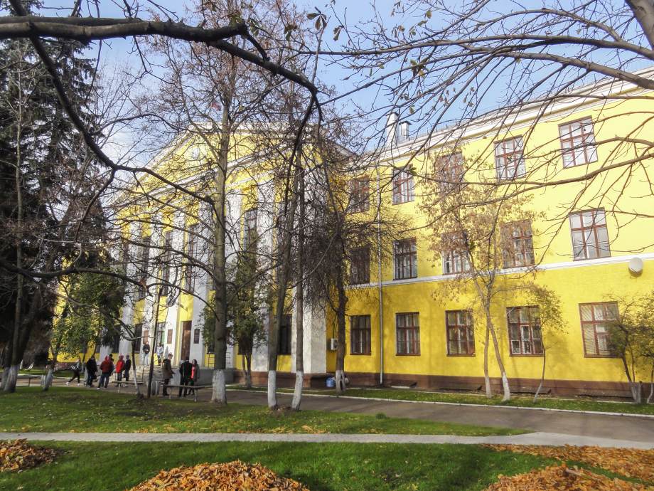 Учреждения института школы